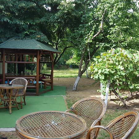 克拉奥华 Casa Boiereasca旅舍 外观 照片