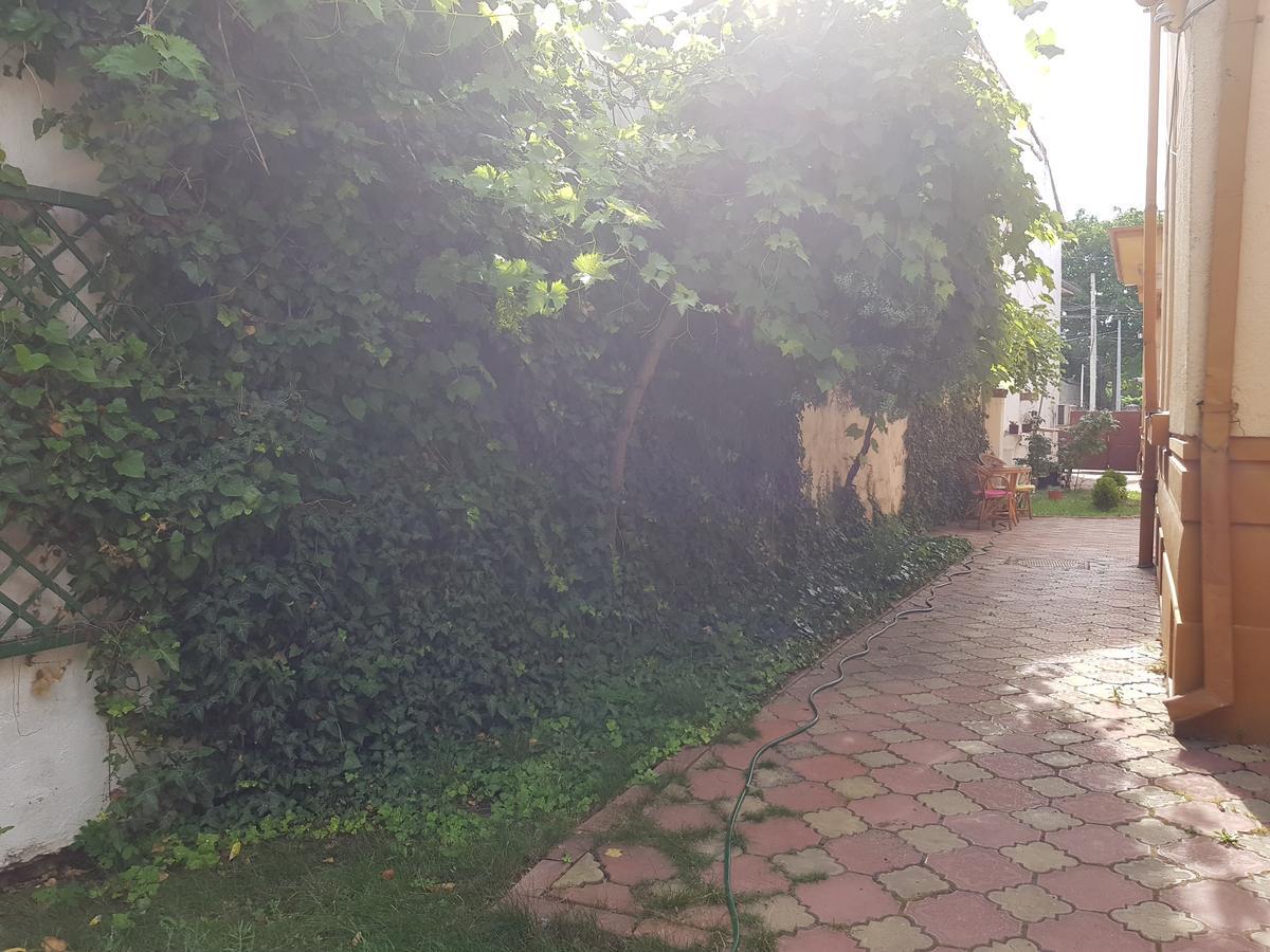 克拉奥华 Casa Boiereasca旅舍 外观 照片